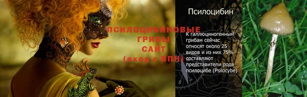 mdpv Сосновый Бор