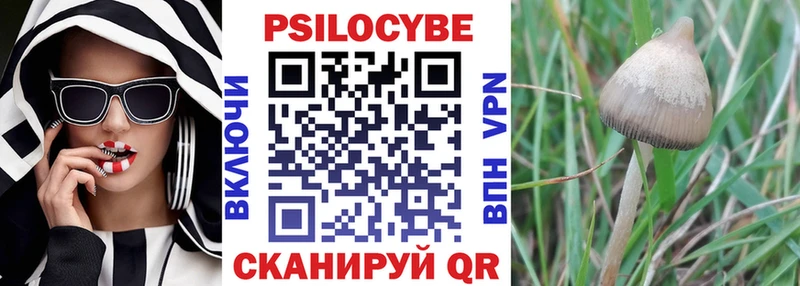Галлюциногенные грибы Psilocybe Волоколамск
