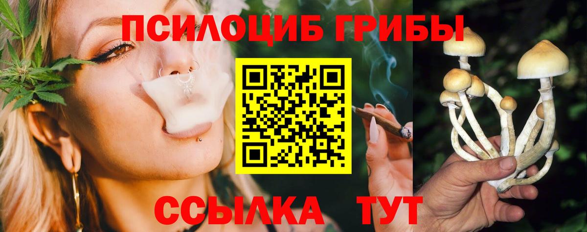 Галлюциногенные грибы MAGIC MUSHROOMS  Вход с VPN  где можно купить   Волоколамск 